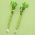 Catnip Molar Stick Chew Toy